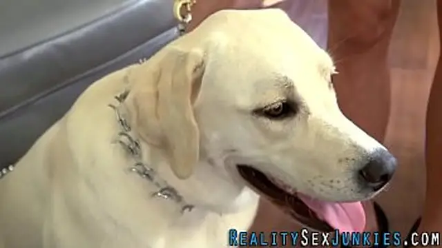 Real pornstar intense action