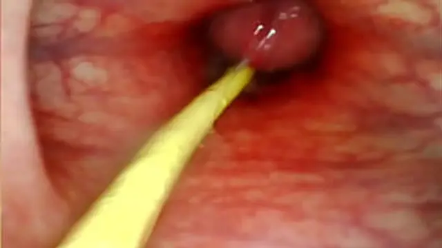 Ultra Explicit Anal👌 View: Deep Cock🍆 Slam & Cumshot Inside Her Ass🍑