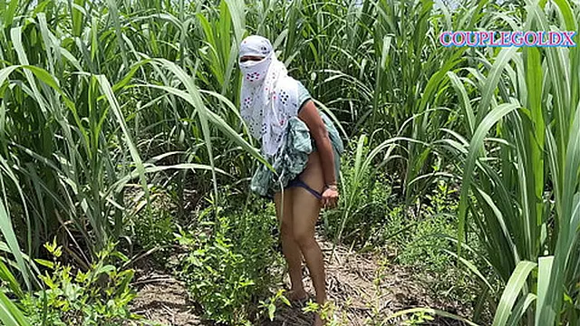 Komal strolled through the sugarcane field &mdash;  her lover close behind
