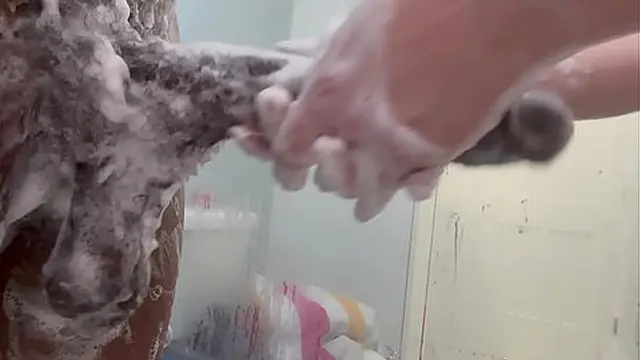 My 19yo girlfriend and I met in the shower  She was amazed how big my BBC was and ready to take it all in her ass  She teased me with a slow &mdash;  desperate handjob before turning around for anal Her moans grew louder as pounded her ass begging me to