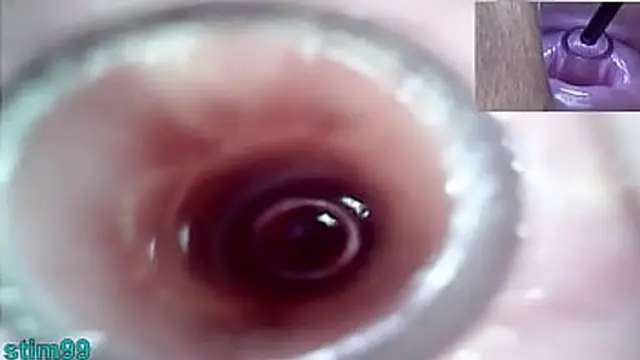 Lesbo duo ravages each other′s nether regions with vigorous penetration and copious bodily fluids